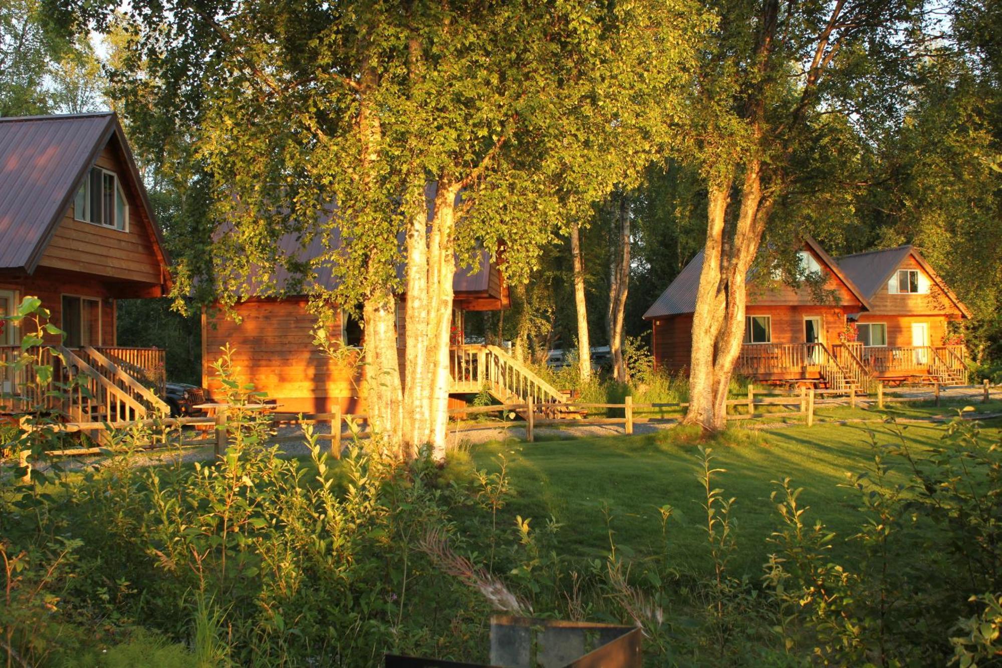 Susitna River Lodging, Riverside Cabins Talkeetna Exteriör bild